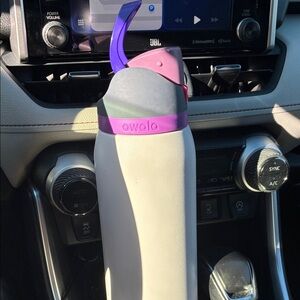 Owalo Insulated Water Bottle - Light Gray with Pink & Purple Accents